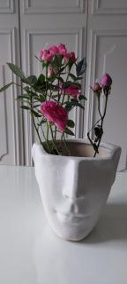 Fruškogorska kuća - Andrevlje lounge, naselje Testera - 1