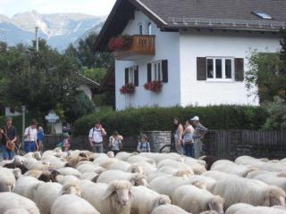 Ferienhaus Adelia - Mittenwald - 6