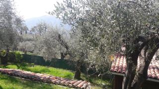 maison de vacances avec piscine - 2