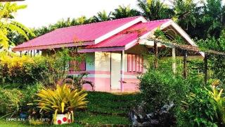 พรผู้สร้าง - 4