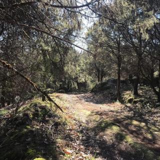 Casa Rural El Sobraillo - 8