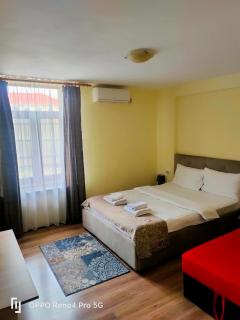 Casa Aurelia - Sibiu - 7