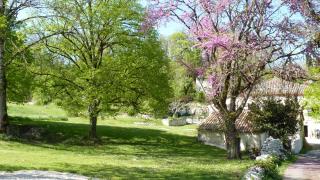 Le Val du Pech chantant chambres d'hôtes - 5