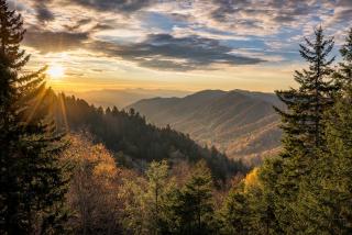 Shooting Star - Gatlinburg - 8