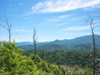 Hello Smokys - Gatlinburg - 4
