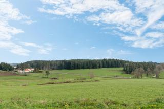 Prunières - Joli T2 dans la Haute-Loire - Saint-Pal-de-Mons - 5