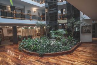 Patagonia Plaza Hotel - San Martín de los Andes - 2