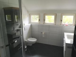 Ein Appartement und ein Komfortzimmer in Malsch, zwischen Karlsruhe, Rastatt und Baden-Baden - Malsch - 1