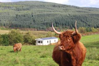 Crannich Holiday Caravans - 1