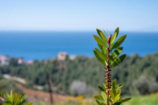 Endless View Country House - Agia Paraskevi - 7