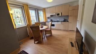Villa Florl - Schladming - 1