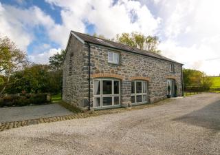 Derwen - Llanfihangel-geneuʼr-glyn - 6