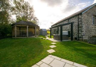 Derwen - Llanfihangel-geneuʼr-glyn - 2