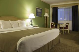 Wyndham Garden Obregon - 7