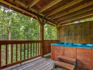 Lifes Escape - Gatlinburg - 6