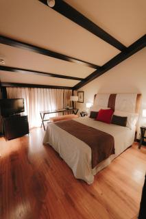 Hotel Spa Balfagon - Cantavieja - 6