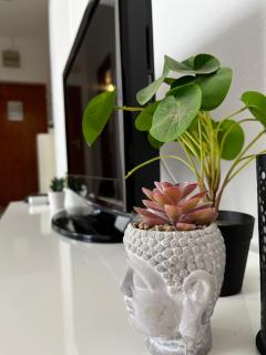 SeaView apartments - 4