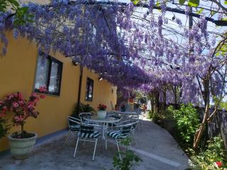 Casa Da Vieira - Ourense - 1