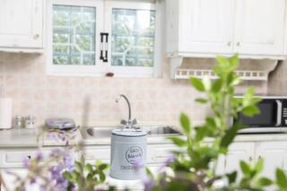 Alexia's Home Menta - 1