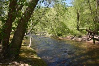 Riverside Trout Retreat - Helen - 9