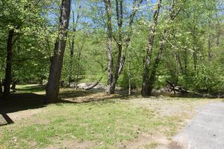 Riverside Trout Retreat - Helen - 8