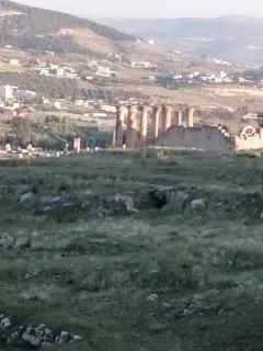 Elegant housing - Jerash - 5