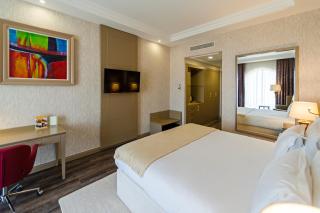 Wellborn Luxury Hotel - Kocaeli - 3