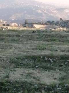 Elegant housing - Jerash - 3