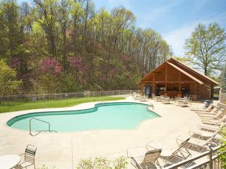 Mountain Flower - Pigeon Forge - 8
