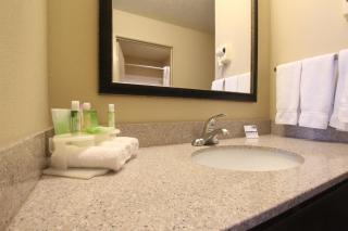Holiday Inn Express & Suites Chicago-Libertyville by IHG - 3