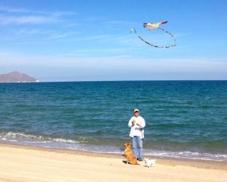 Amazing beach side Luis Margarita villa - San Felipe - 0