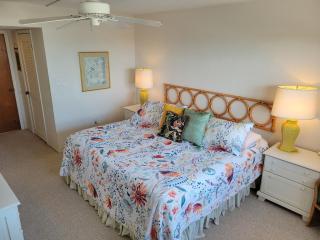 511 - Top floor 1 bedroom amazing view - New Smyrna Beach - 2