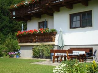 Haus Meikl - Mühlbach am Hochkönig - 5