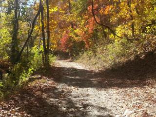 Arrowmont Stables & Cabins - Cullowhee - 7
