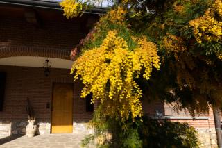Villa Anna - Moncalieri - 7