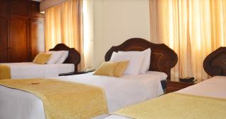 Hotel Plaza Versalles - 9