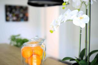 Apartman Anna - Zadar - 5