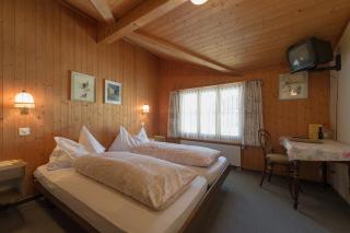 Alpenblick Hotel & Restaurant Wilderswil by Interlaken - Wilderswil - 4