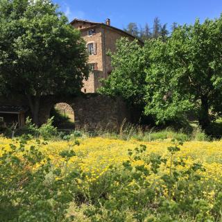 Ferme d'hôtes de Pouzes - Pézenes-les-Mines - 6