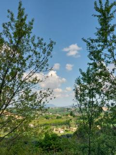 Lo Spettacolo - Macerata - 1