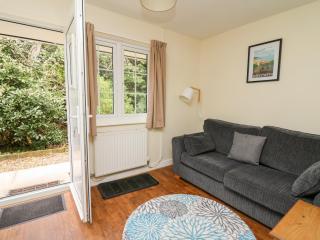 Primrose Cottage - Llandrindod Wells - 7