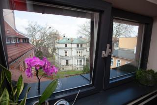 Apartament Green Tea - Gliwice - 1