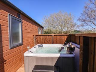 Honeysuckle Lodge - Saltburn-by-the-Sea - 8