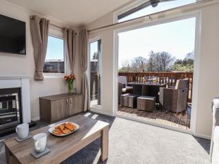 Honeysuckle Lodge - Saltburn-by-the-Sea - 5
