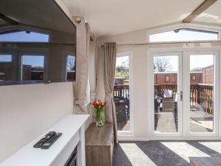 Honeysuckle Lodge - Saltburn-by-the-Sea - 3
