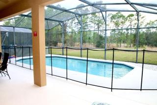 483-Stunning 6 bed home with private pool overlooking quiet conservation area - Davenport - 6