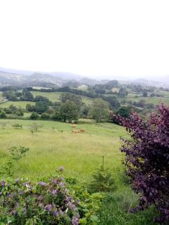 Casa Nieves - Villaviciosa - 6