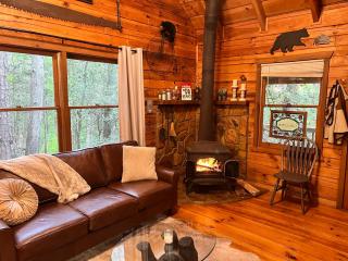 Log Cabin with Mountain View and Privacy - Blue Ridge - 5