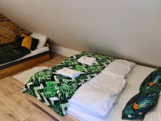 Apartament Ptasia Ostoja - 5D Apartamenty - Świeradów-Zdrój - 1