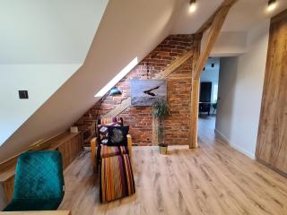 Apartament Ptasia Ostoja - 5D Apartamenty - Świeradów-Zdrój - 7